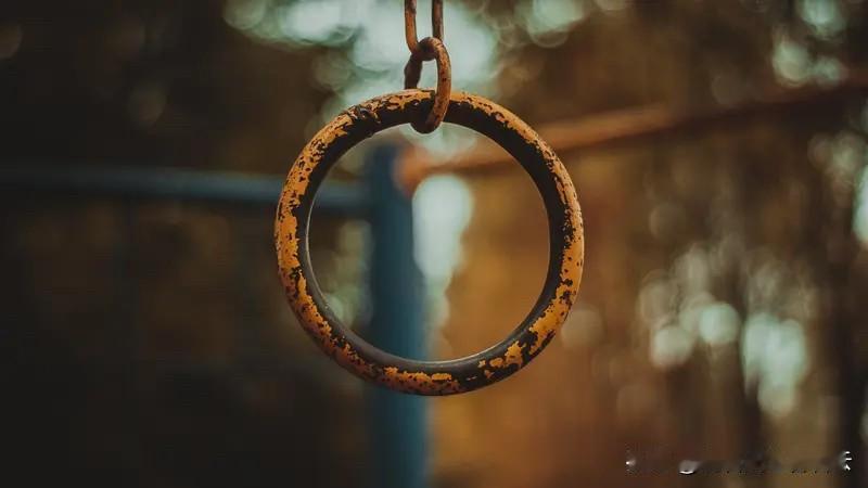 人生最新的建议就是人往前走，不要回头，谁都不是原来的样子。

新的一年了，如果硬