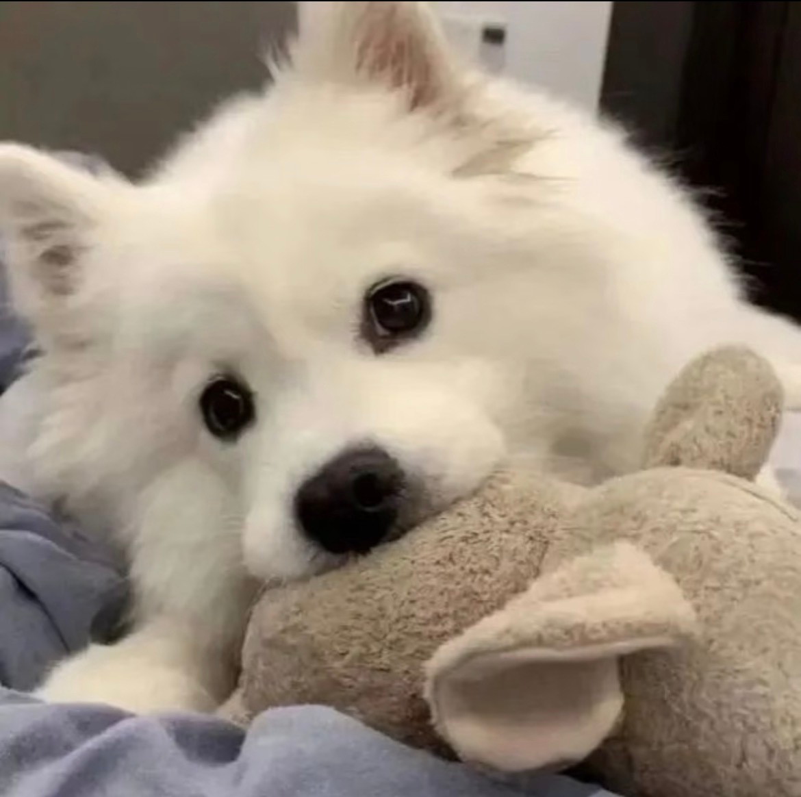 头像分享 | ins头像 | 萌萌头像 | 微信WeChat头像分享| 高级无水