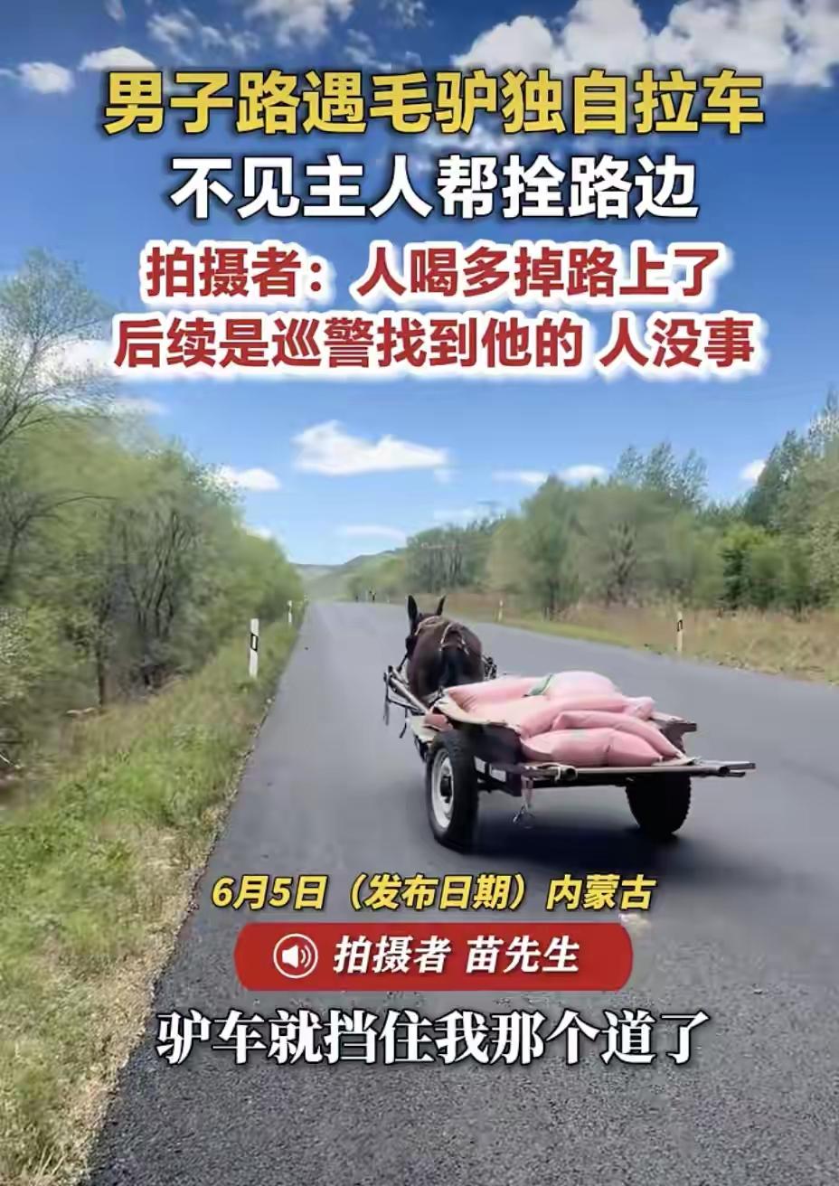 内蒙古的一条公路上，一个男子开车遇到了一头毛驴，拉着个板车车挡在路中间，车上面却
