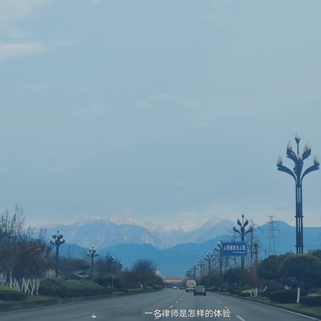 模拟案情：A公司与B公司签订商事合同，其中约定回购条款和违约责任条款，自然人甲为