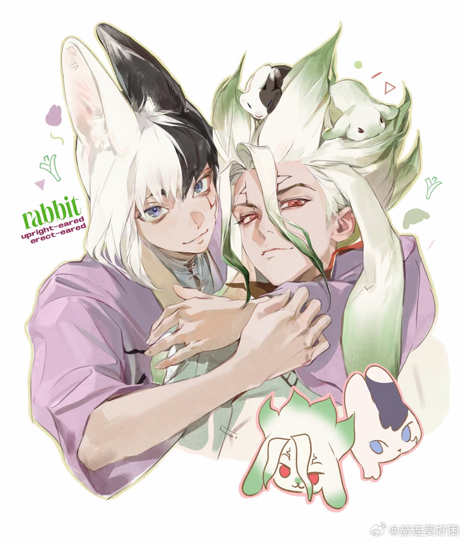 🐰草里面长兔子了千幻