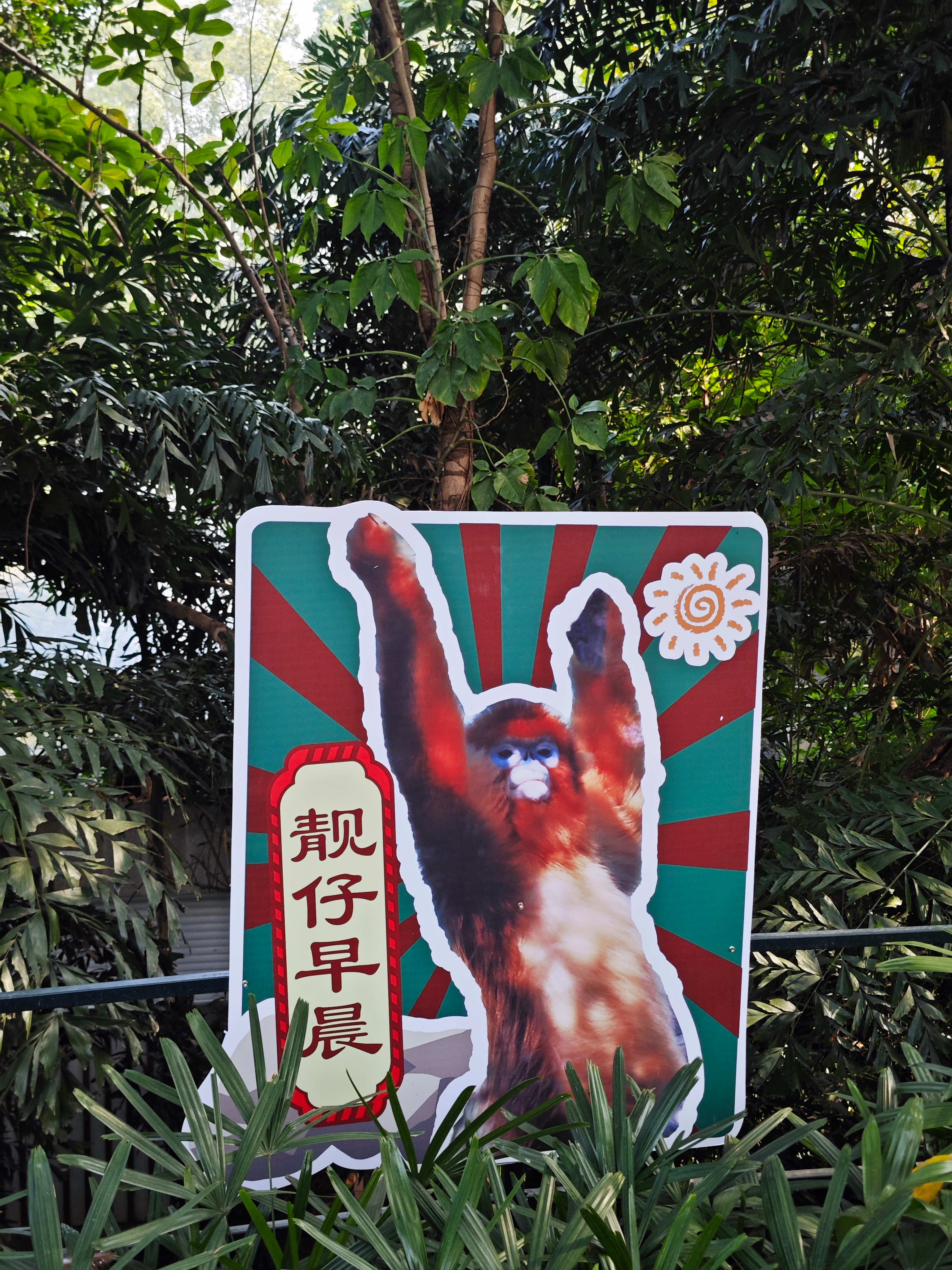 Hello，吗吗喽 ​​​