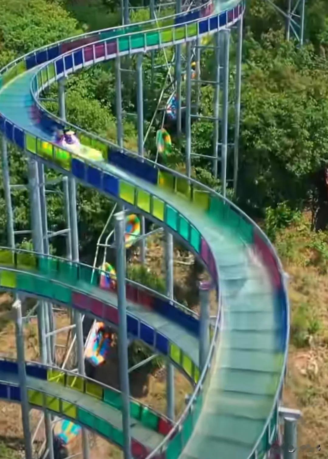 刺激的过山车，带你体验心跳加速的乐趣！🎢💥公园随手拍的花草