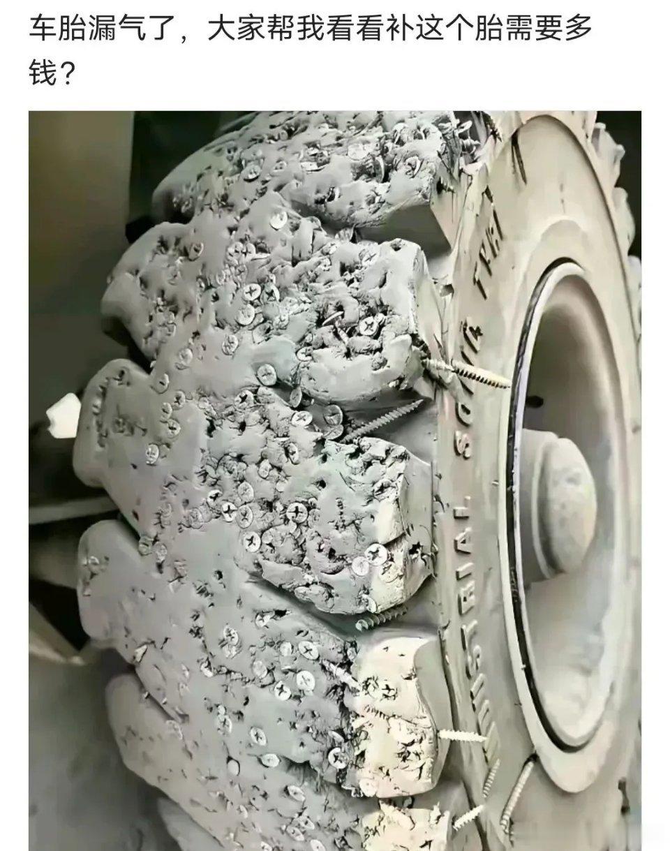 这轮胎已经百毒不侵了 ​​​