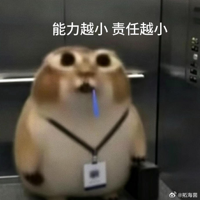 我感觉很多人聊天目的性很强很强，虽然说成人的世界就应该利益摆在桌面直来直去是最舒