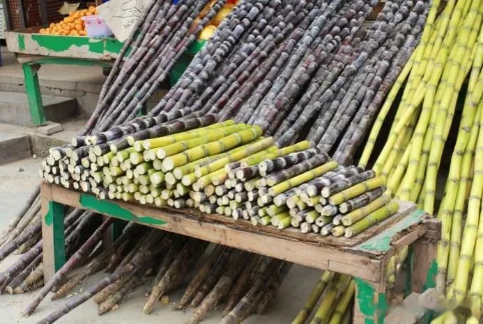 #记录我的2023# 
明日立冬了，各个地区都吃什么呀？总有一种适合你！
饺子，