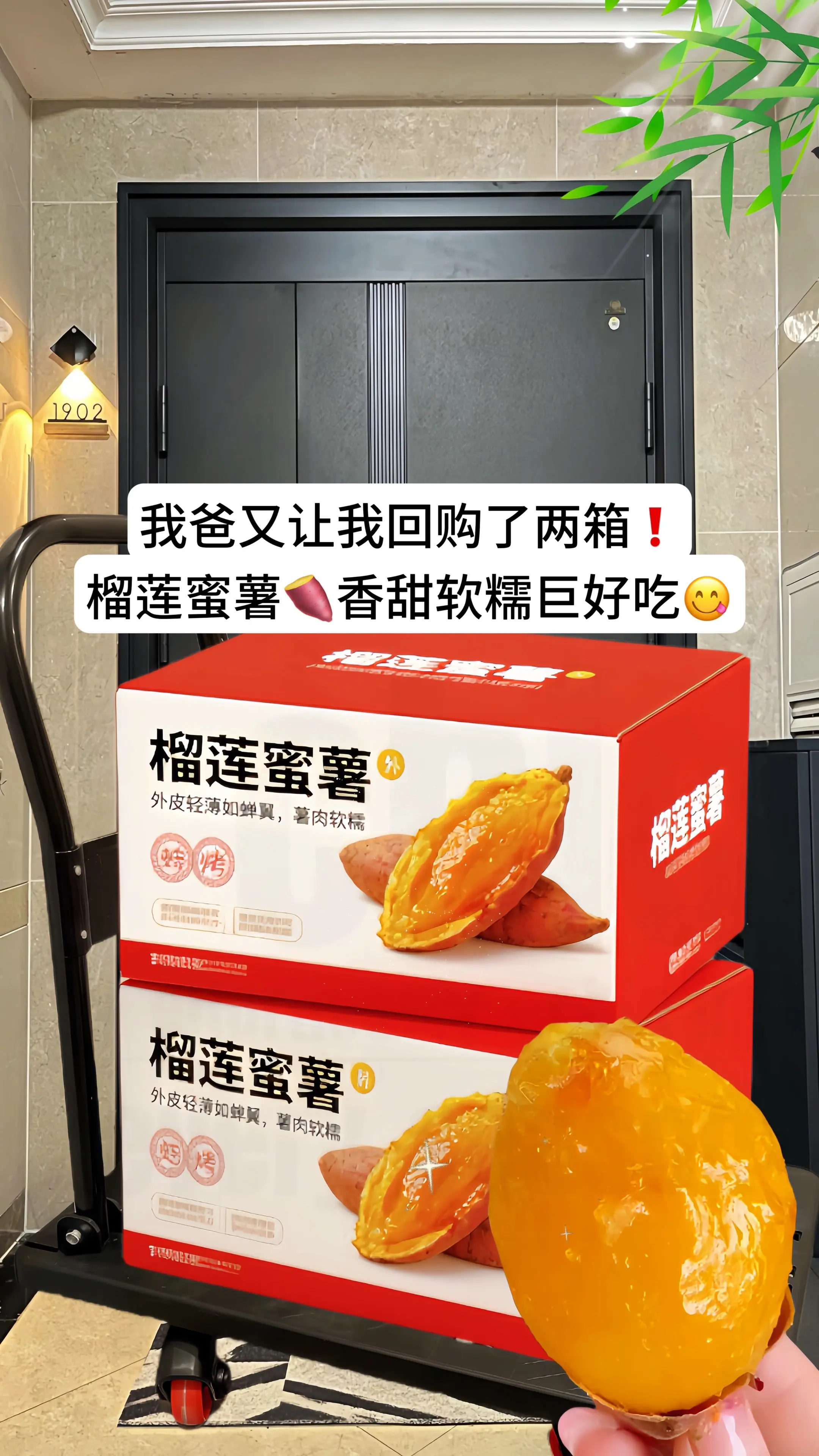像榴莲一样蜜甜的红薯你吃过吗^^它就是来自广西的榴莲蜜薯！爱吃红薯的看...