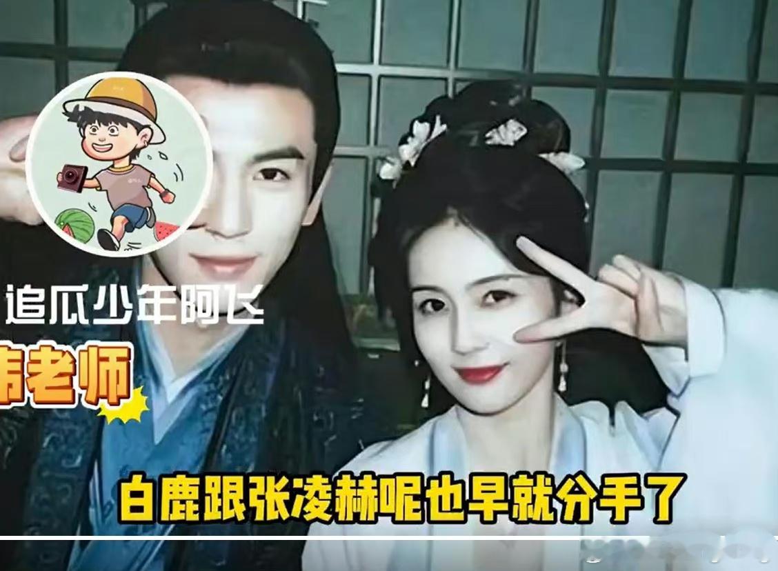 #曝白鹿张凌赫早分手了#是我消息太闭塞了吗？白鹿和张凌赫啥时候谈过？应该不会隐藏