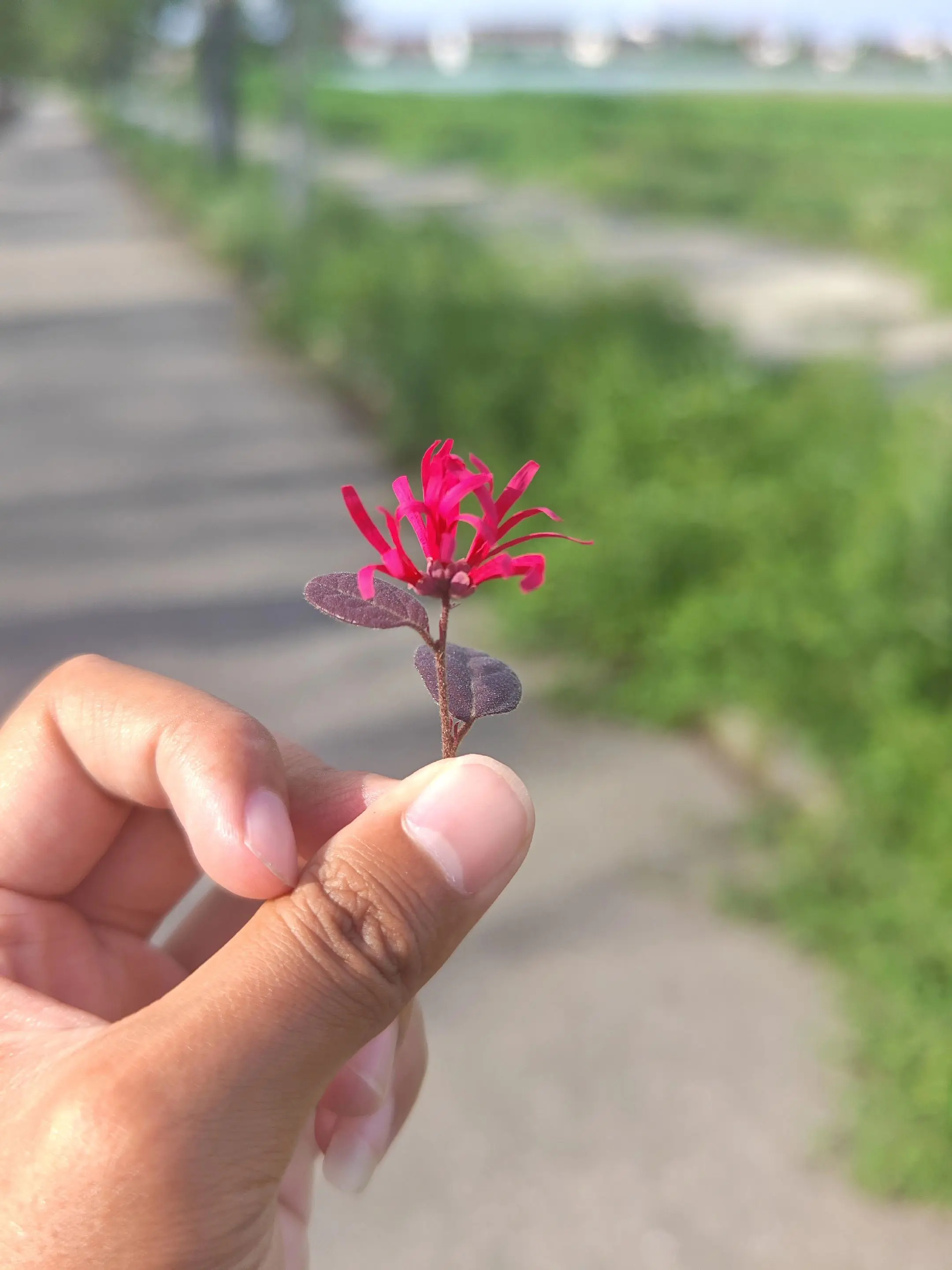 无感状态