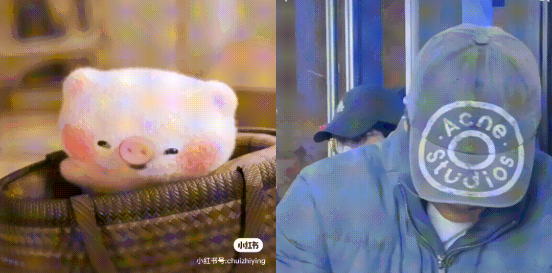 小猪崽子，爱你😘😘😘梁伟铿