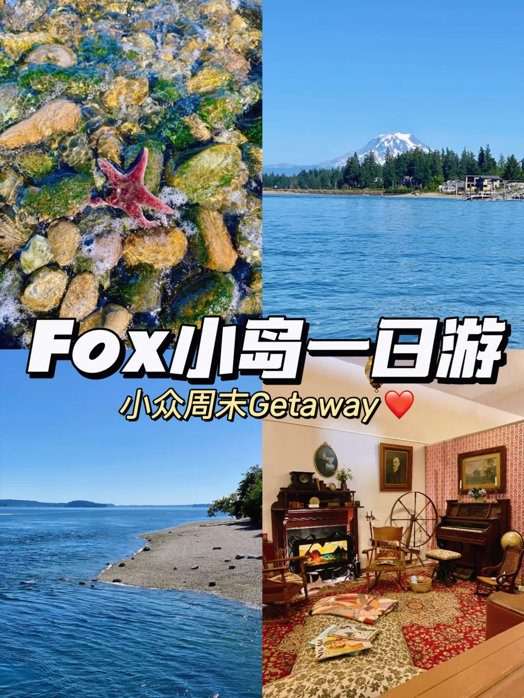 西雅图 | Fox小岛一日游🌼周末Getaway
