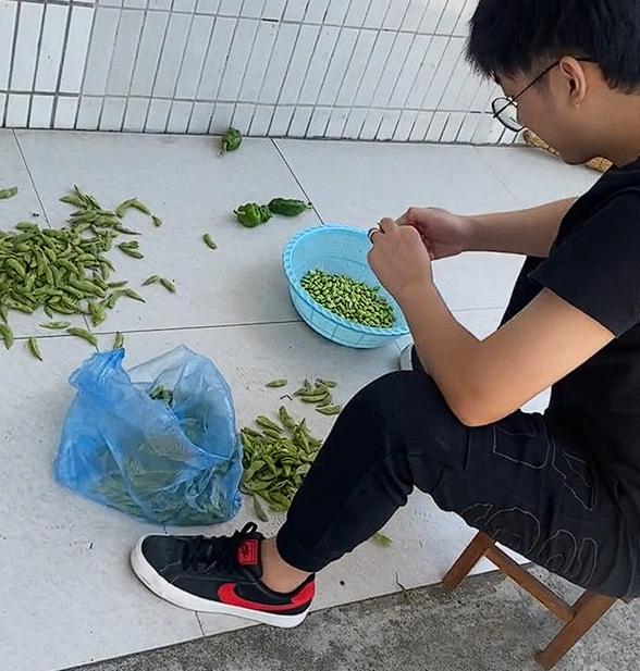 “一生好面的东北人！”第一次新女婿上门，女方家有多重视？辽宁一户人家，在得知新女