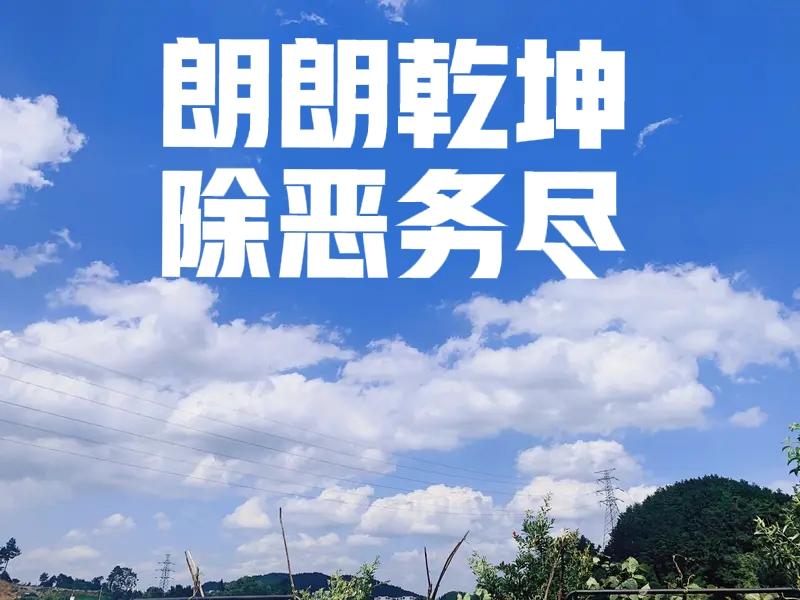 南博这迟来的“瓜”，还是来得太晚了！背后的问题真不能细想，越琢磨越让人感到后怕啊