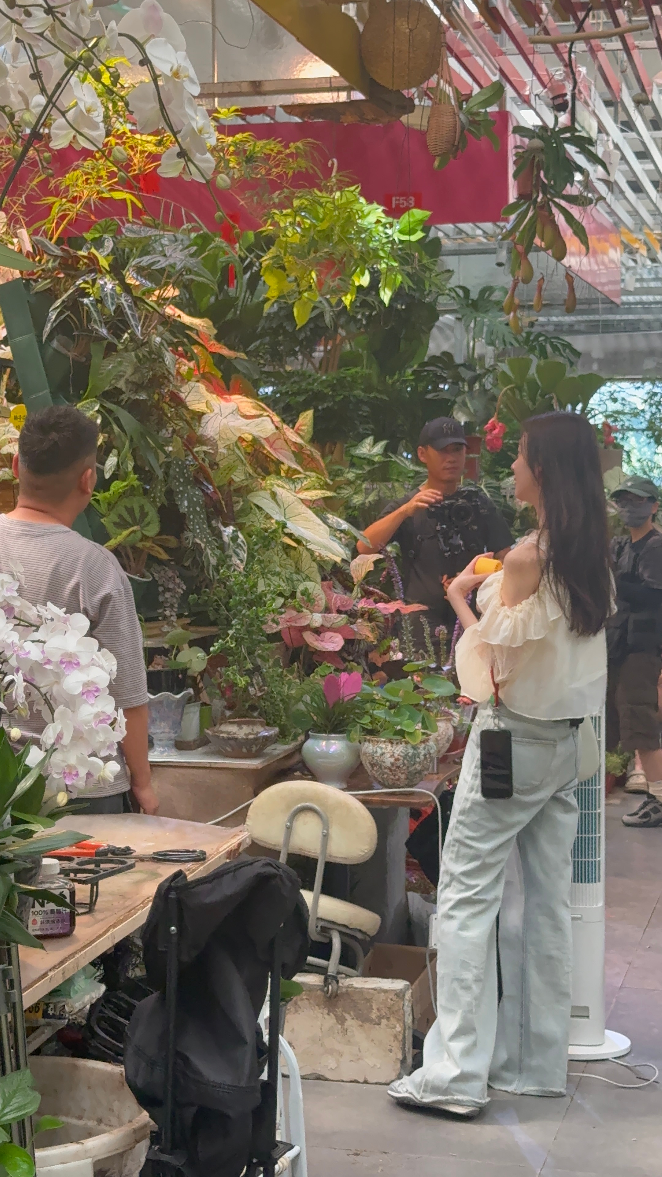 陈瑶乘风后首个综艺陈瑶逛花卉市场路透哇自己一个人去逛花卉市场了 