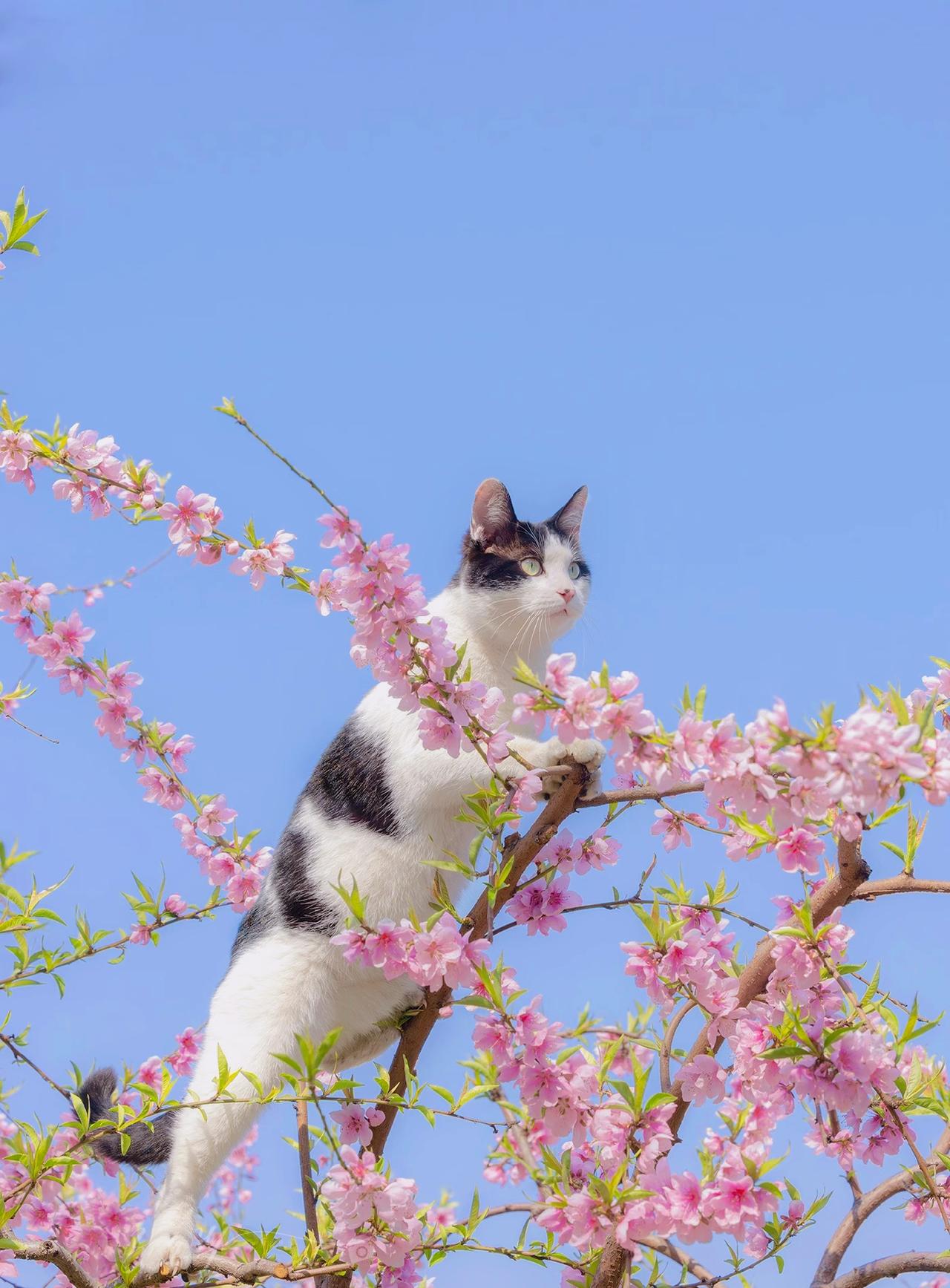 ：）一段非常现实的话：“男人和女人的快乐，真的不一样。在男女关系里，男人的快乐往