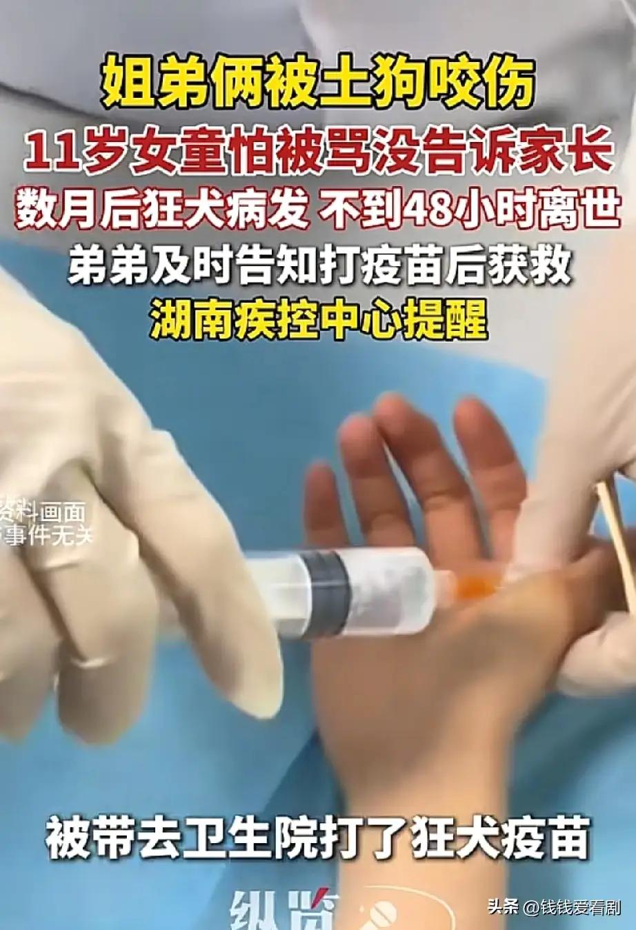 太揪心！湖南11岁女孩被家中土狗咬伤，家人却只管了弟弟，结局让人泪目！

你能想
