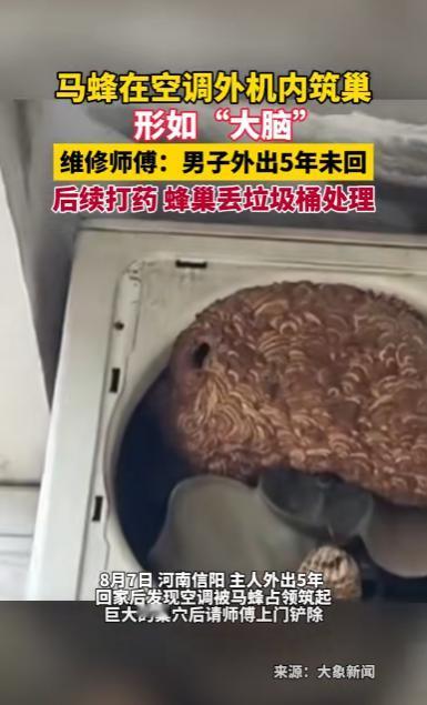 “太可怕了！”8月7日，河南信阳，一男子外出5年没回过家，到家后发现空调不好用了