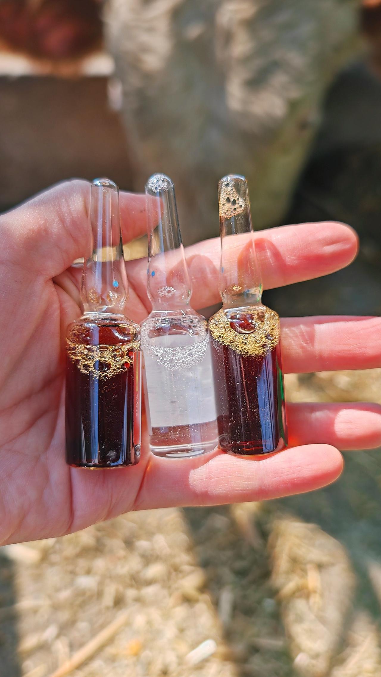 养羊人 农村养羊 牛羊养殖