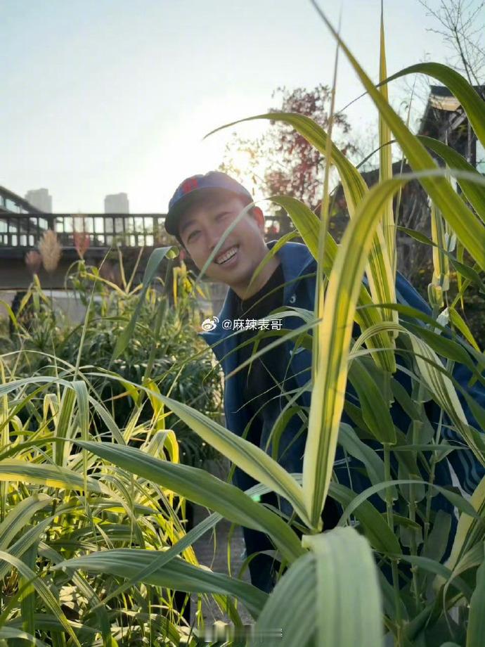 于正亲自下场和张慧雯开始互动了，留言“宝贝亲（卿）我” 