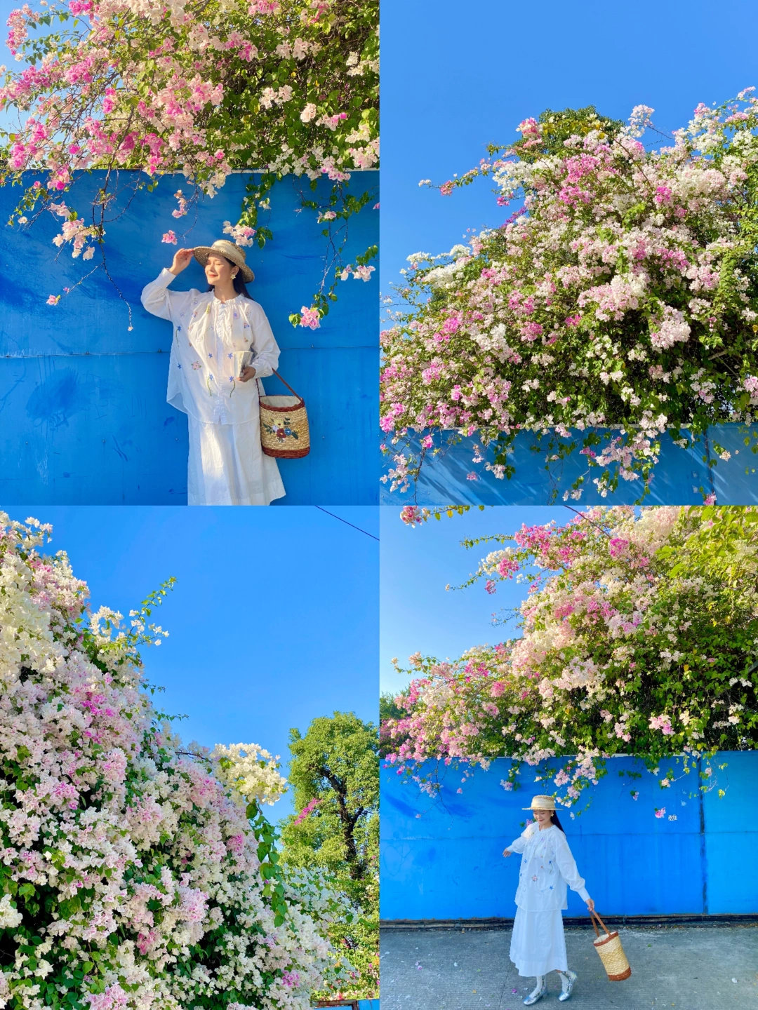 后来我逢人便说……广州的冬天是倒放的春天🍃