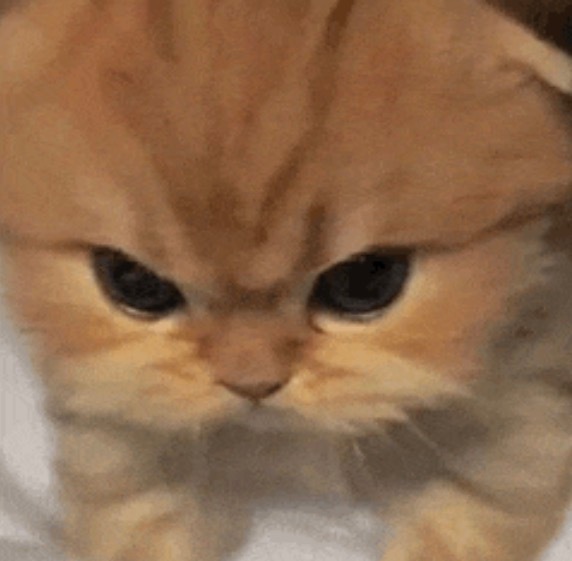 啊啊啊啊啊啊 ​​​