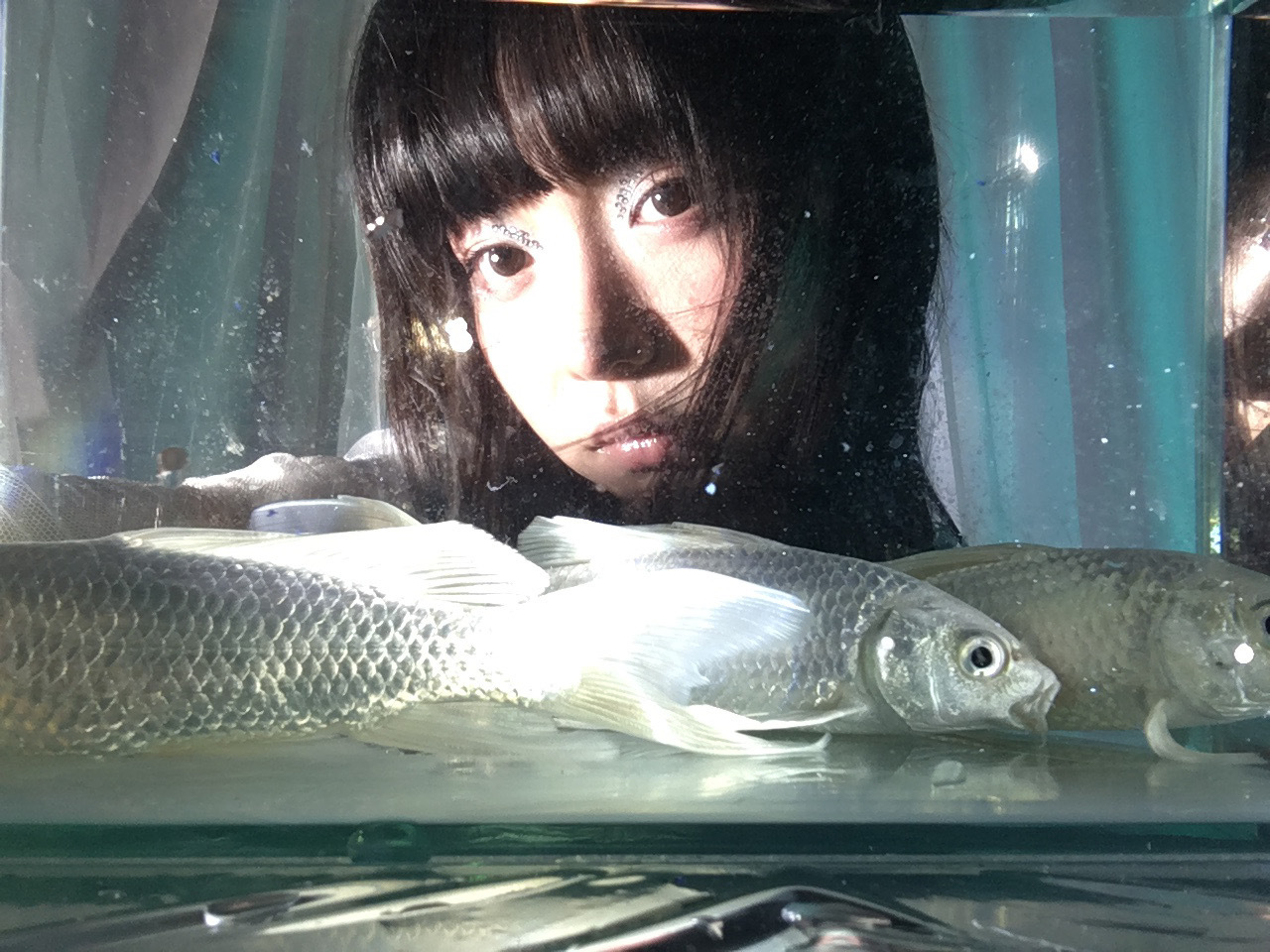 刚化成人鱼的 ​​​