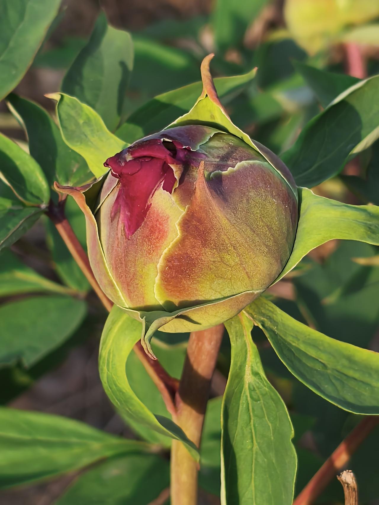 不见，想见！
见了面，又没有什么可说的话！
这或许是许多退休后老同事见面时的尴尬