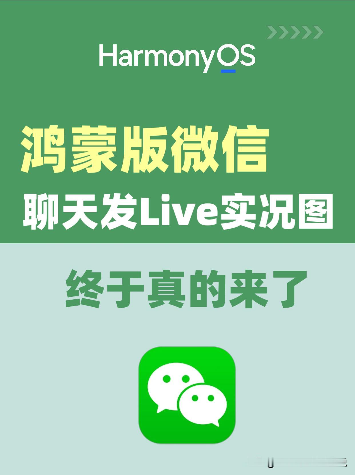 鸿蒙版微信聊天发Live实况图的功能传了好久，现在终于开始分批开放了。

在选中