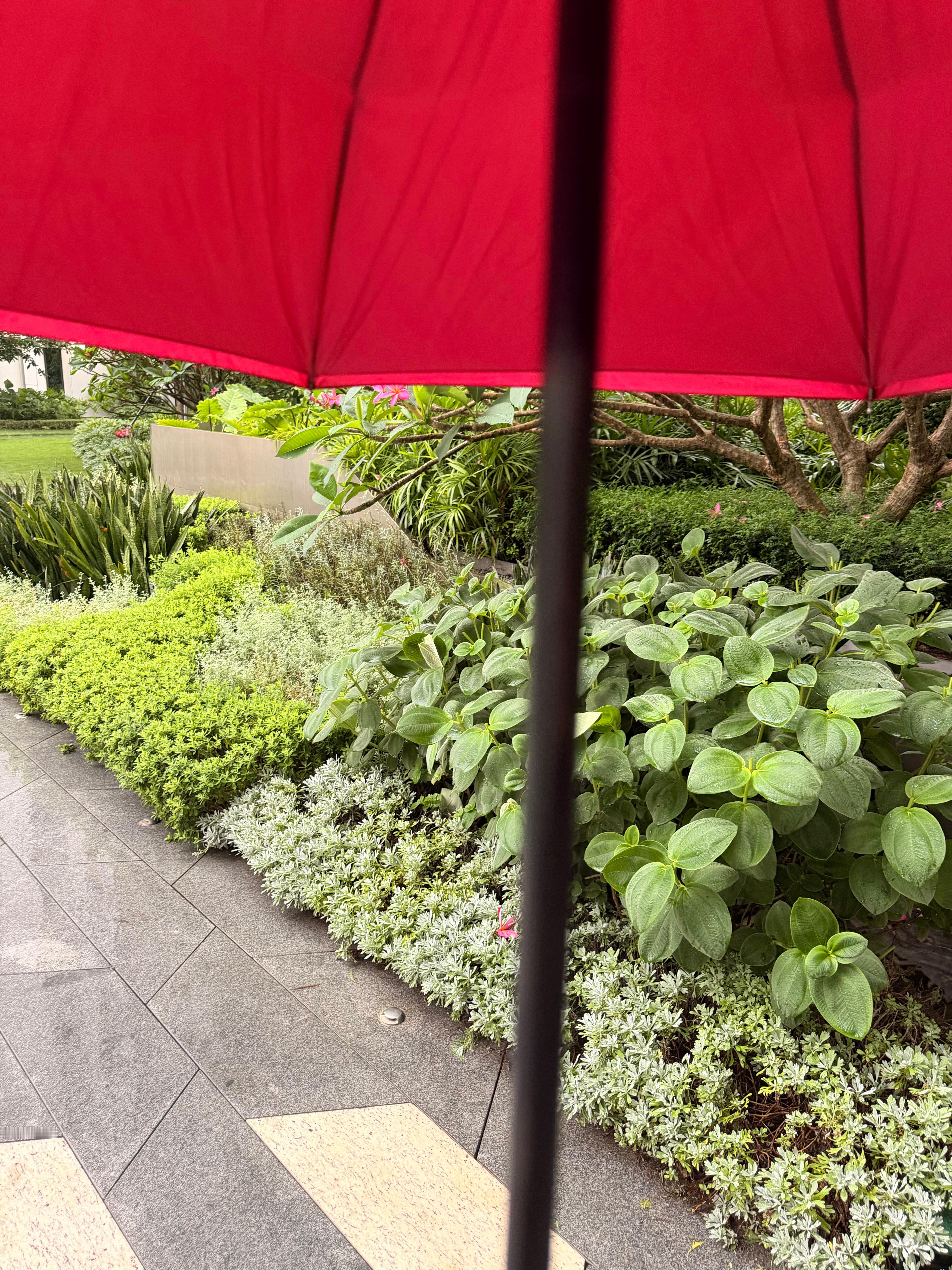 本来广东这周都是暴雨，定好的出差眼看着就要鸽掉了，结果刮了两天大风，下了几滴小雨