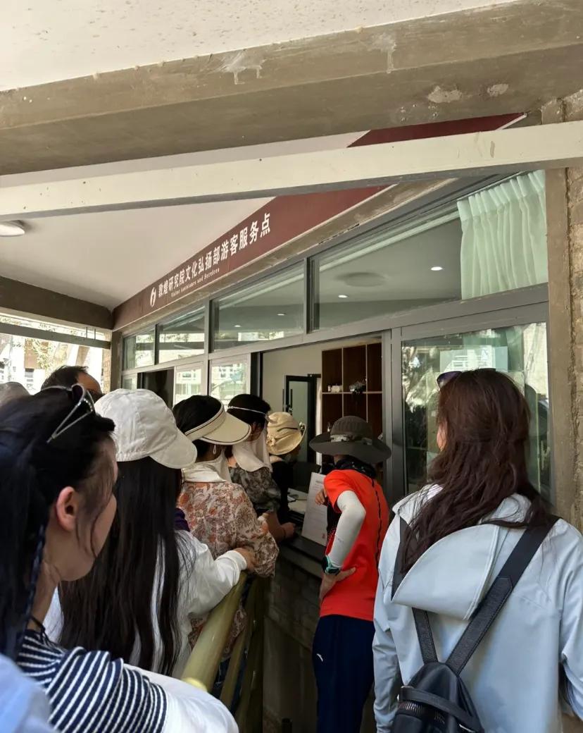 敦煌莫高窟排队太混乱了!规定务必要修改
前面都是导游排队，一个人拿几十张身份证，