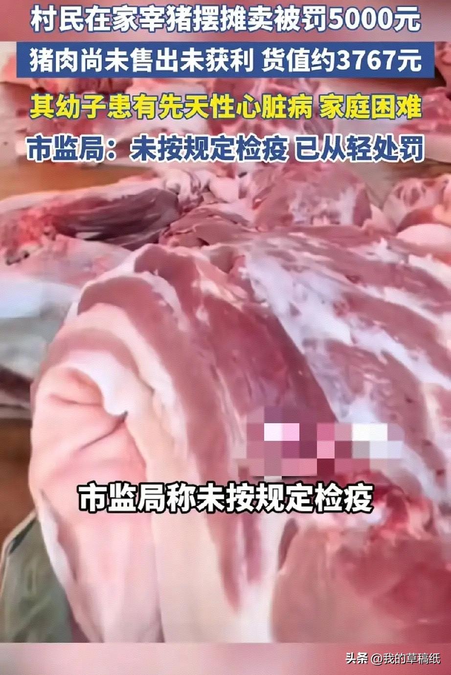 情与法的天平：村民自宰生猪被罚，民生刚需与食品安全如何两全？
 
云南砚山一村民