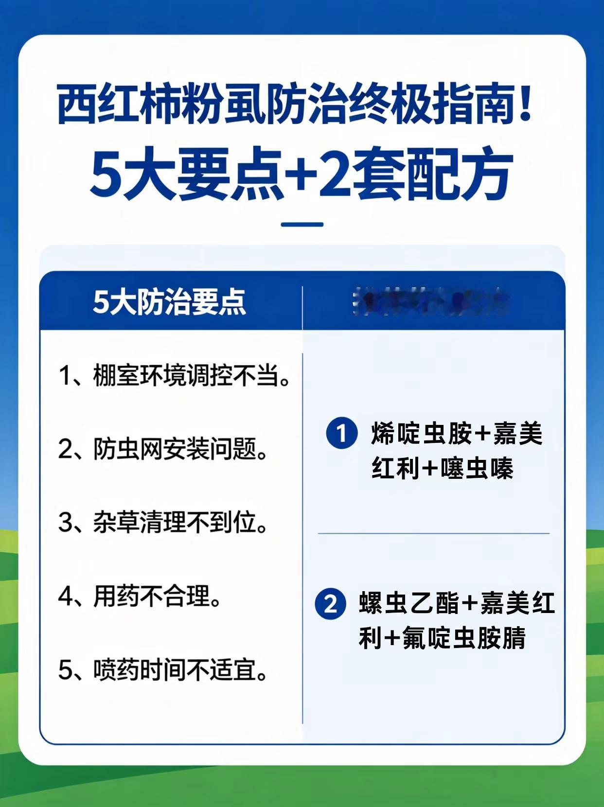 西红柿粉虱防治终极指南！。西红柿种植