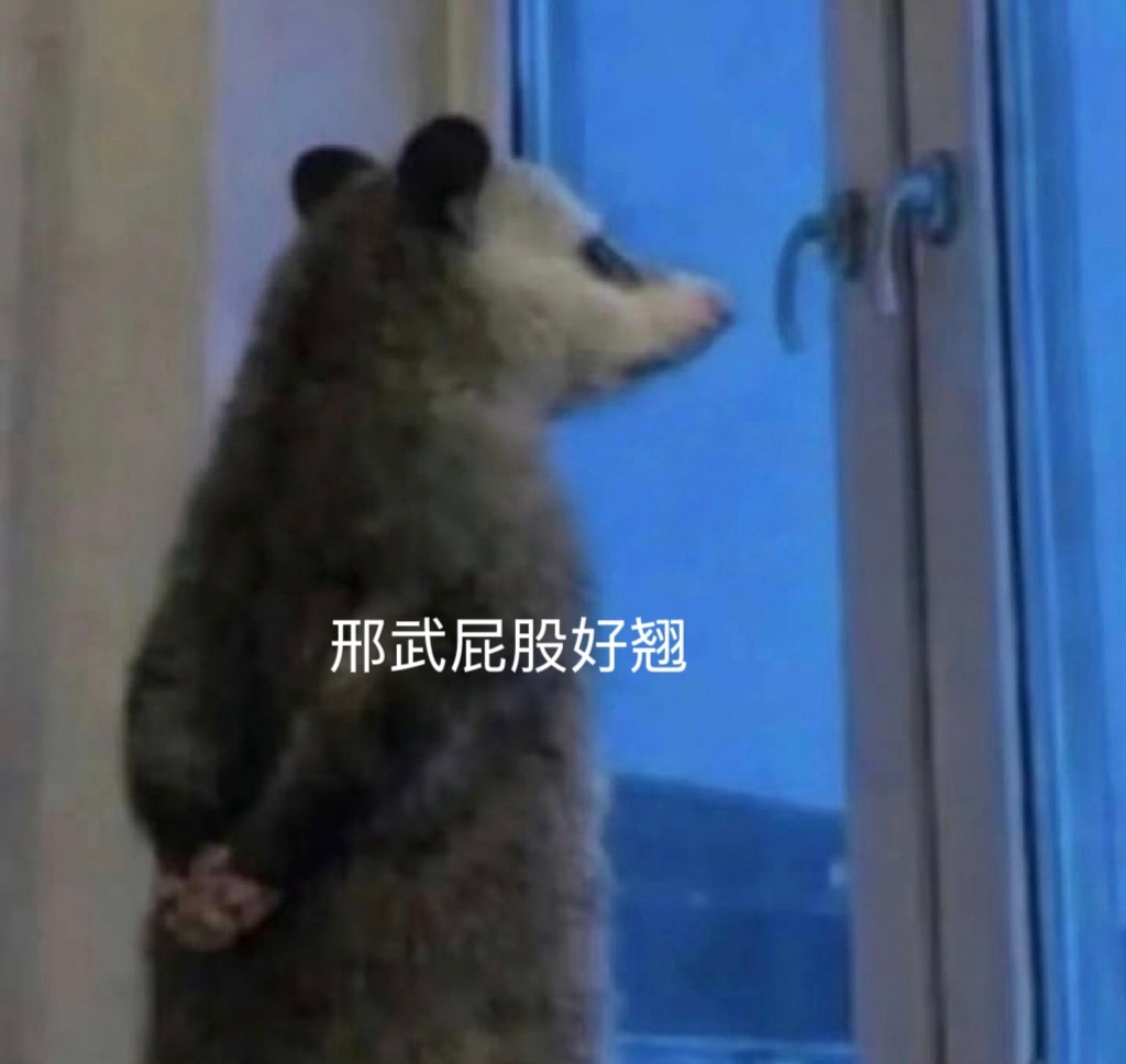 耀眼真的很好看 即使抛开林丝的身份不带任何滤镜也要说：耀眼 好看！很美味的对抗路