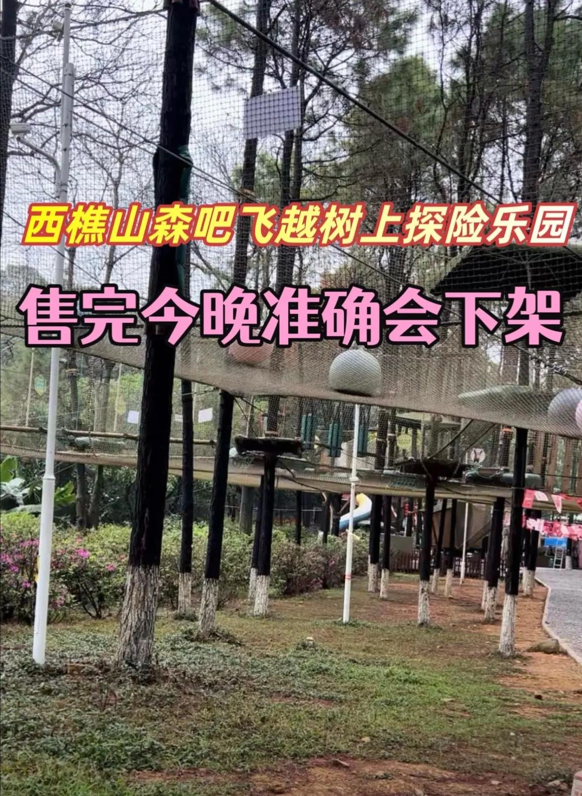 西樵山森吧飞越树上探险乐园 户外拓展 走向户外 挑战极限 西樵山森吧飞越树上探险