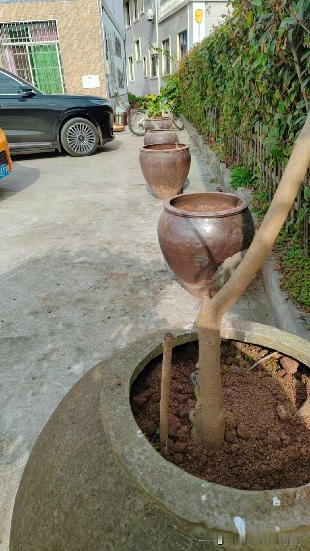 拆老屋翻出不少老瓦缸，都是当年装粮食的老物件，看着亲切，实在舍不得丢。
 
我家