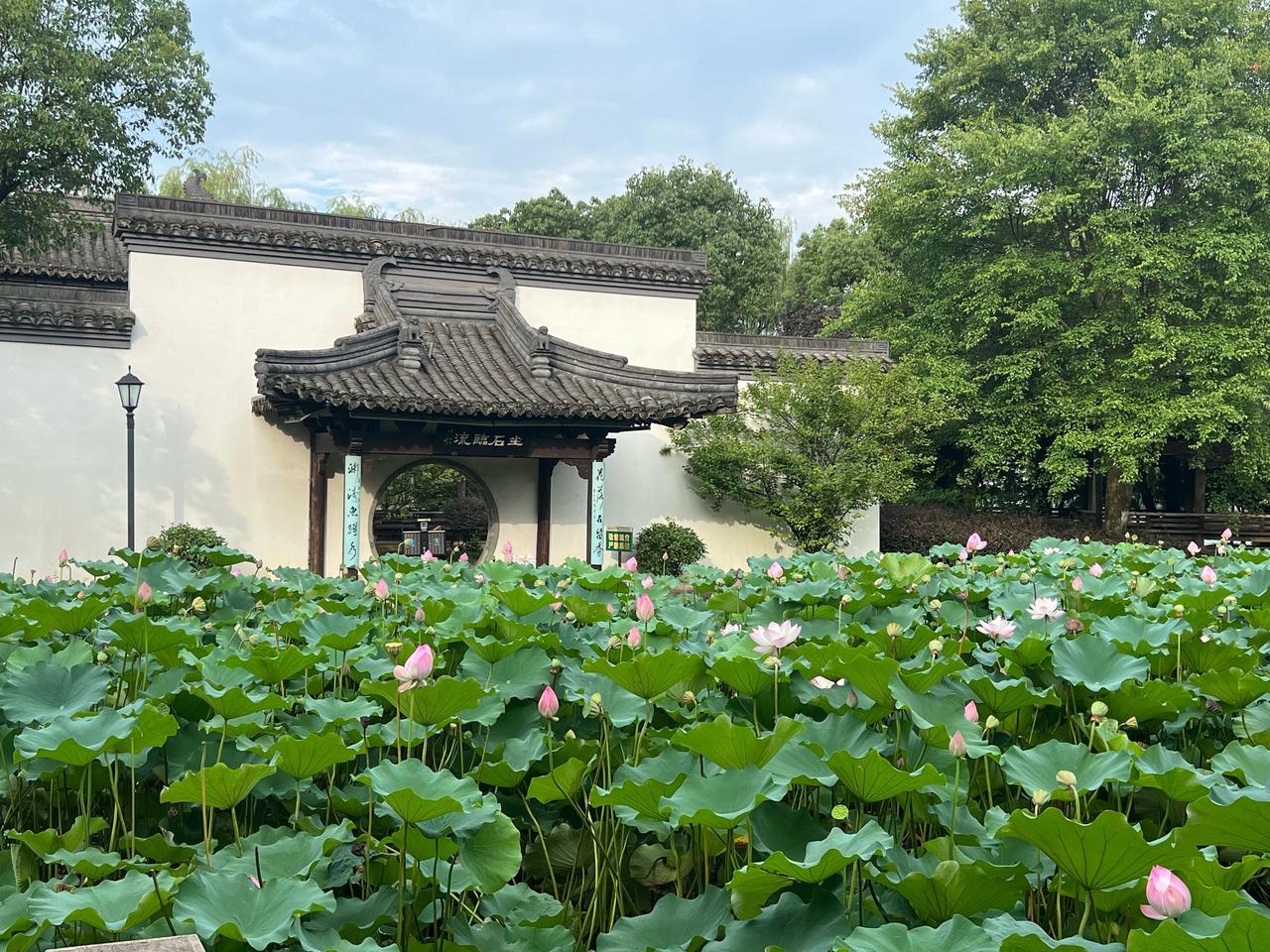 莫愁湖赏荷榭

菡萏亭亭围榭外，
叠叠翠意入眸来。
不见当年徐帅影，
波横滟滟向