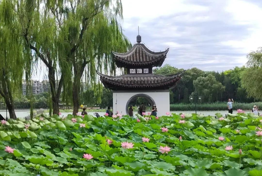 盛夏时节陶然亭，您最喜欢哪个亭？
每次公园走一走，吹台必须留个影。
在盛夏的陶然