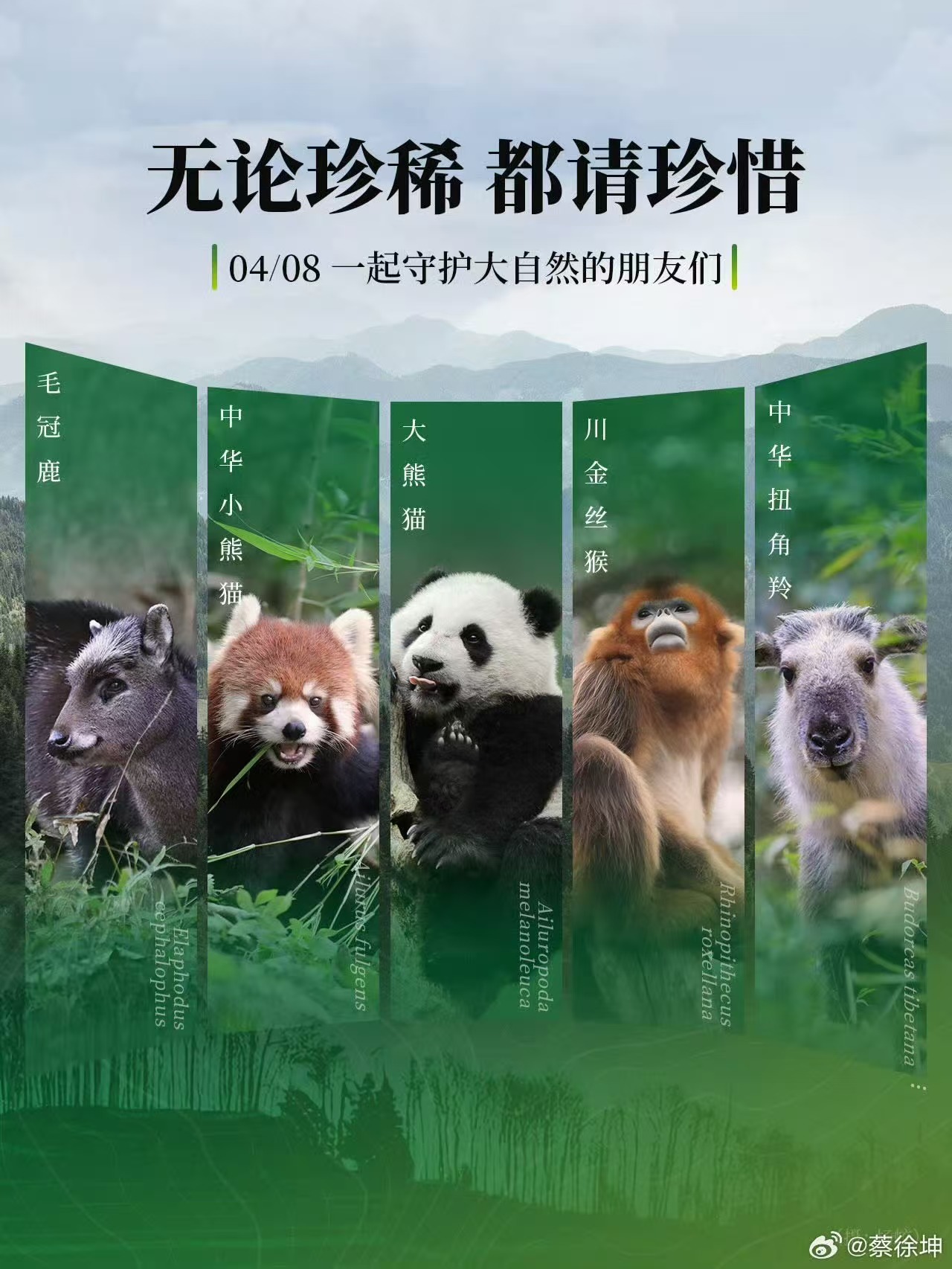 蔡徐坤都请珍惜蔡徐坤无论珍稀蔡徐坤无论珍稀，都请珍惜，