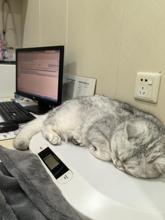最近没更新是因为感染了杯状……