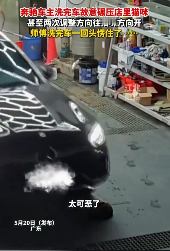 “一段令人齿冷”广州一名奔驰车主，在洗车店内明知地面有刚生产完的母猫，却两次刻意
