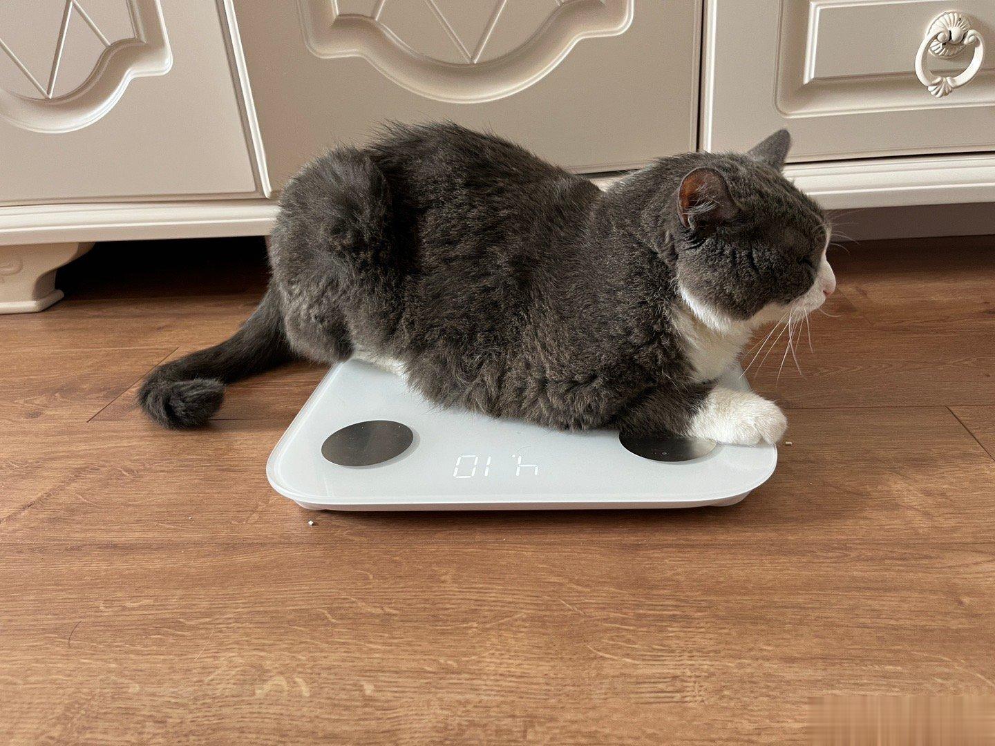 4.10kg ​​​