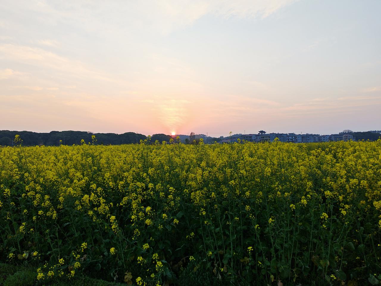 分享一下你随手拍下的照片