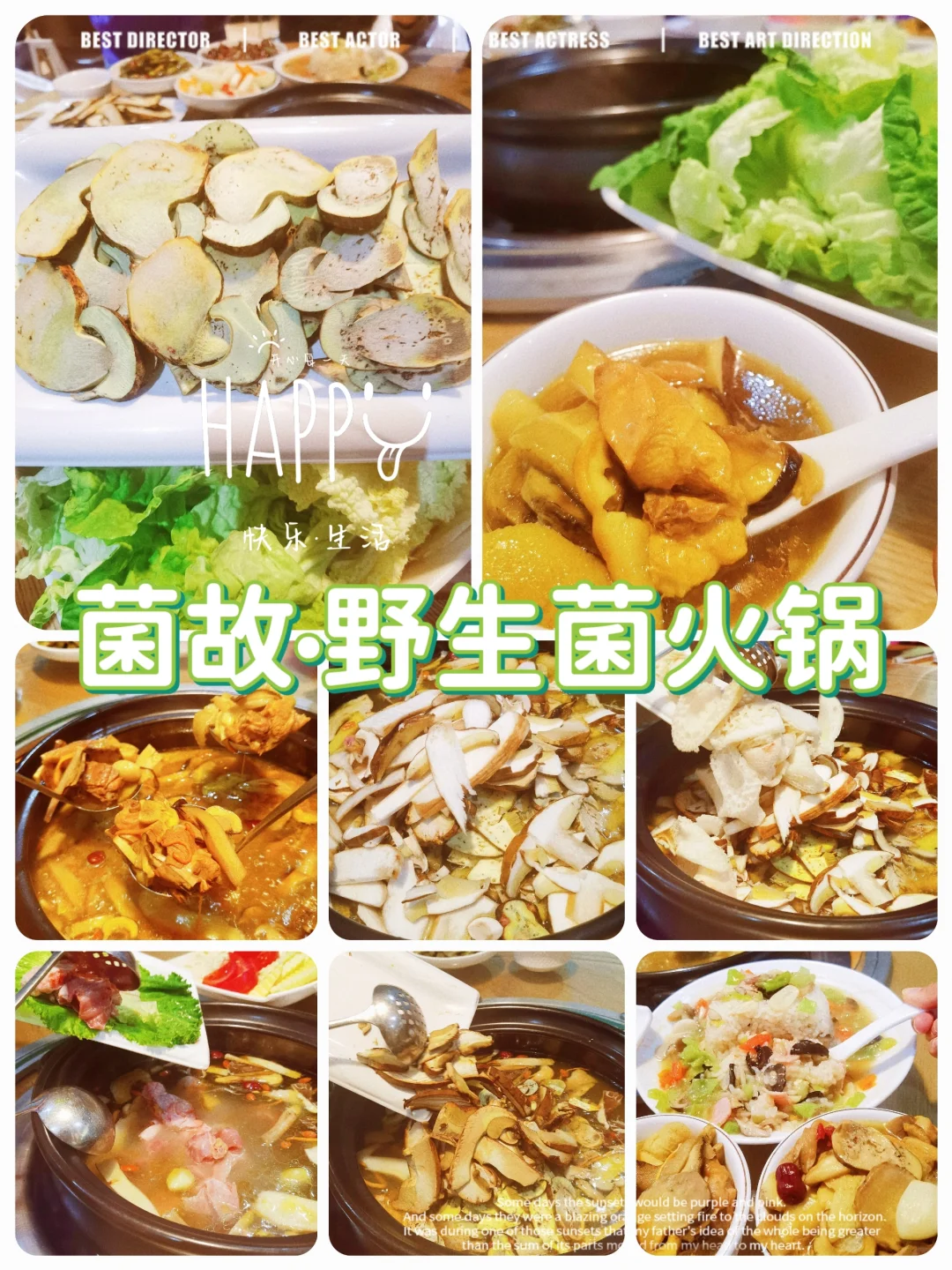市中心性价比超高野生菌火锅