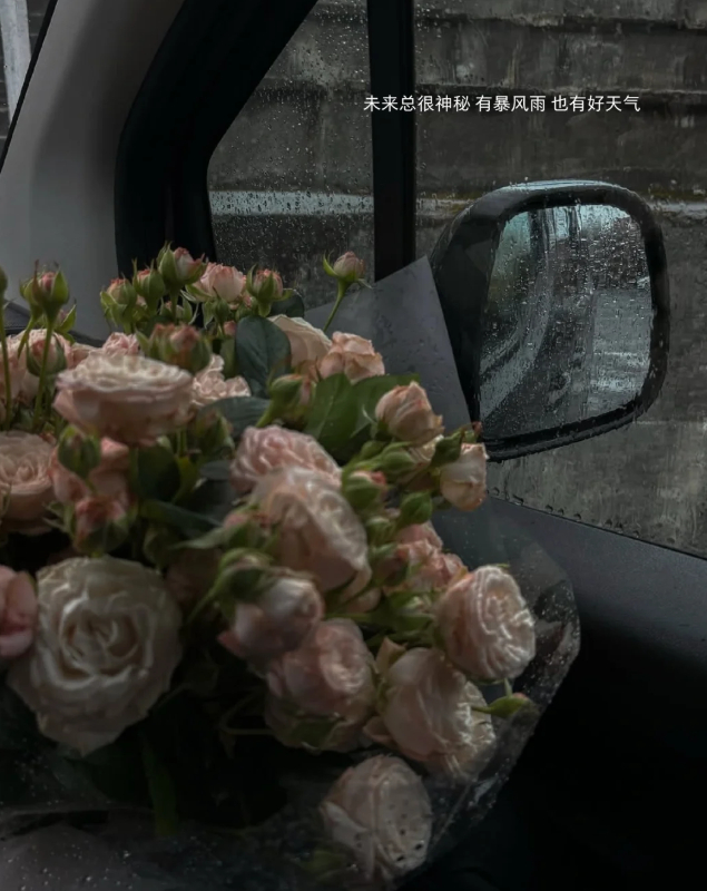 “任何关系，最难的不是如何开始，而是如何结束。”——早安 