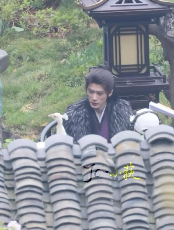 我要是那只孔雀我就上去轻轻啄两口，这么帅气的男人近在眼前