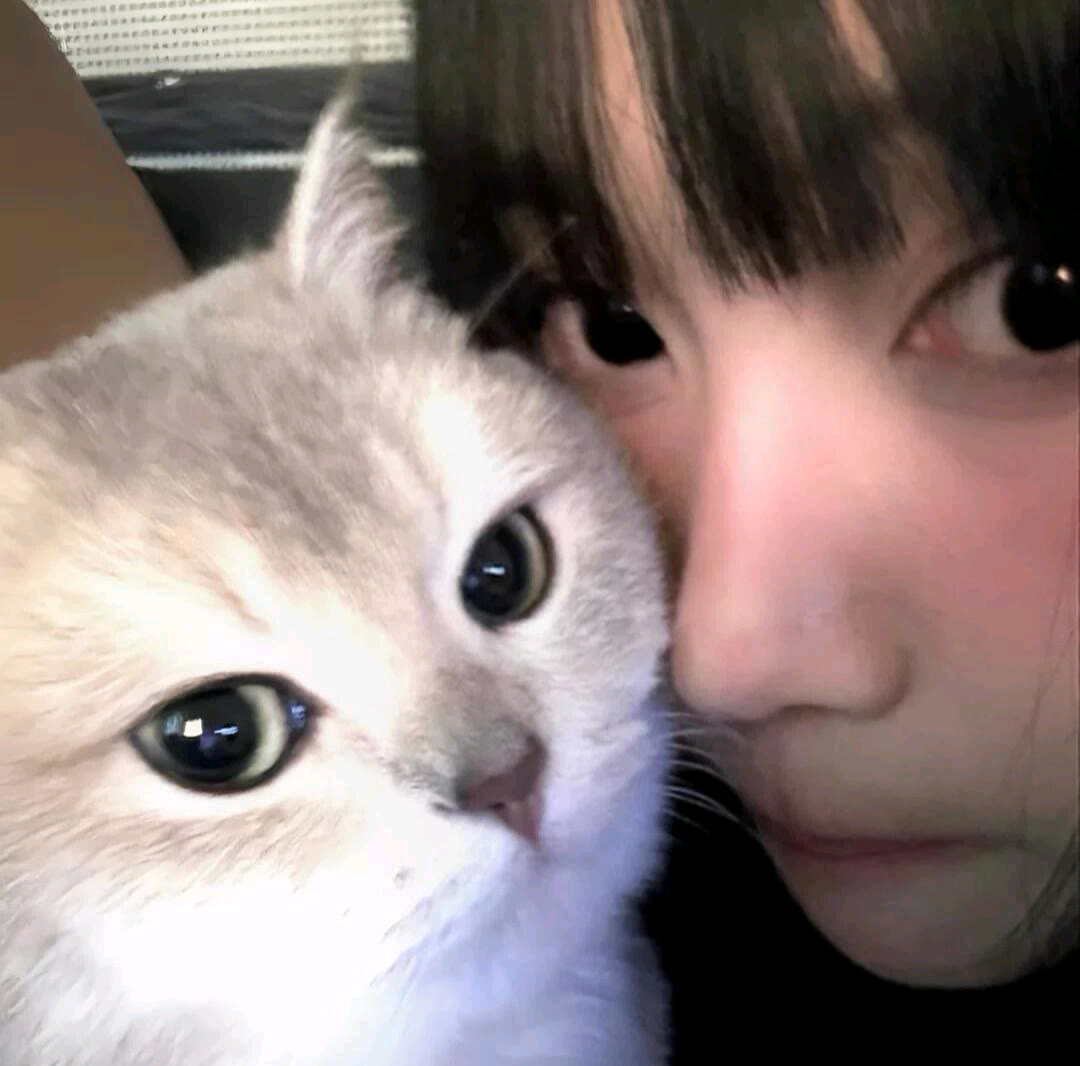 生活就像一盒巧克力 
