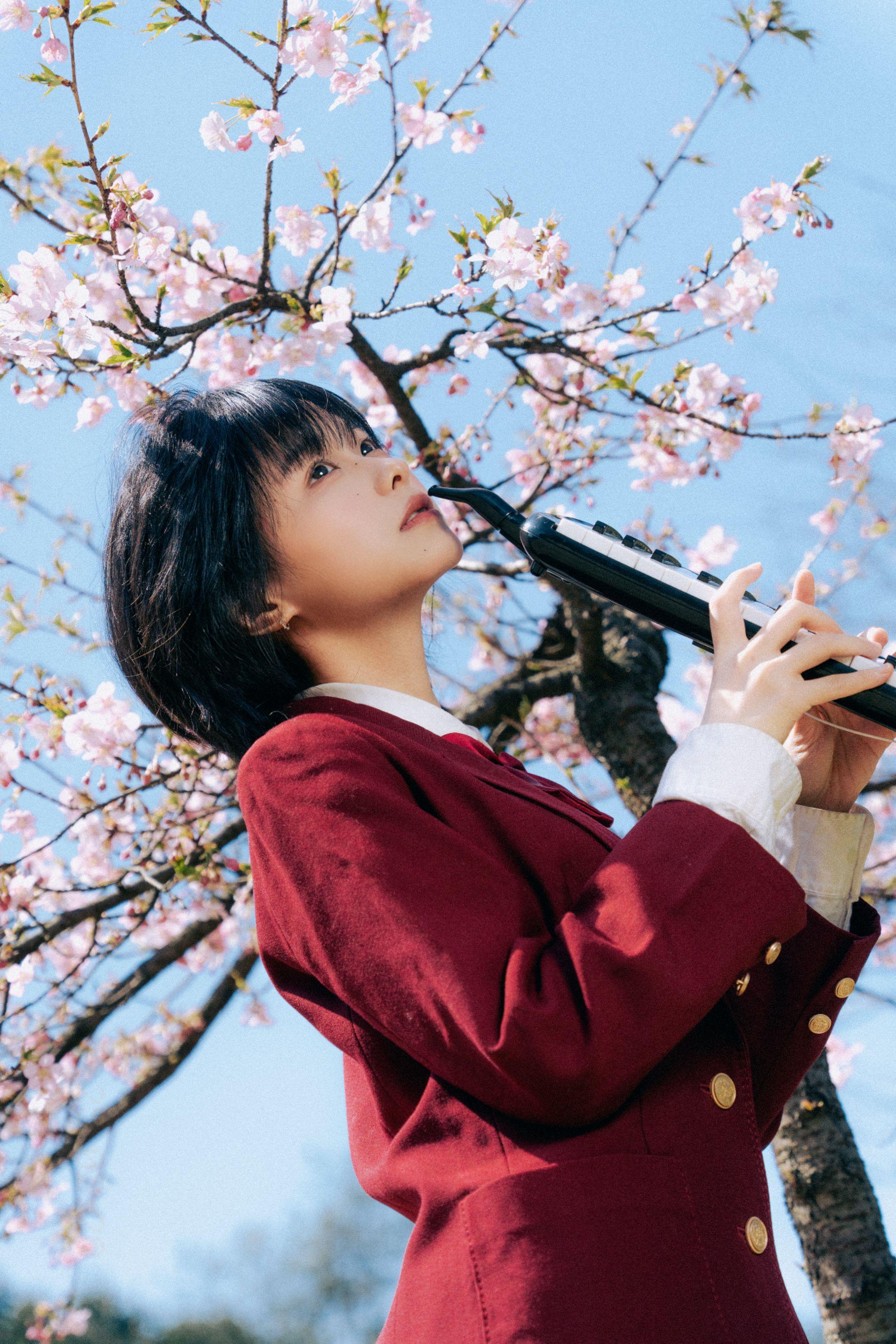 樱花树下，属于我的春和景明。