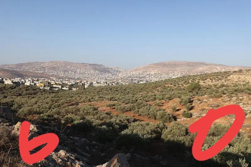 以色列国防部发表最新消息！

当地时间12月5日，以色列国防军发表声明称，已完成