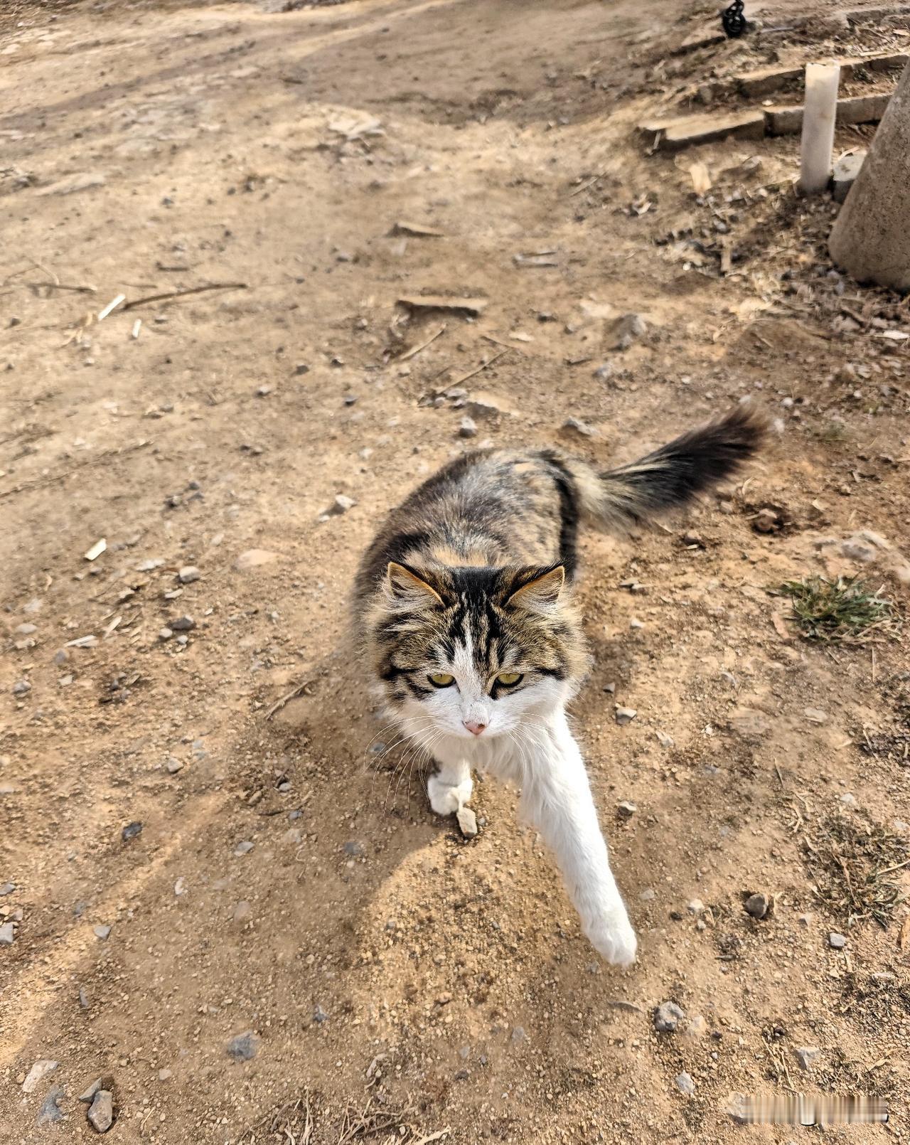 我家这位小祖宗，每天除了吃就是睡，主打一个无忧无虑。

不管多累多烦，只要一看到