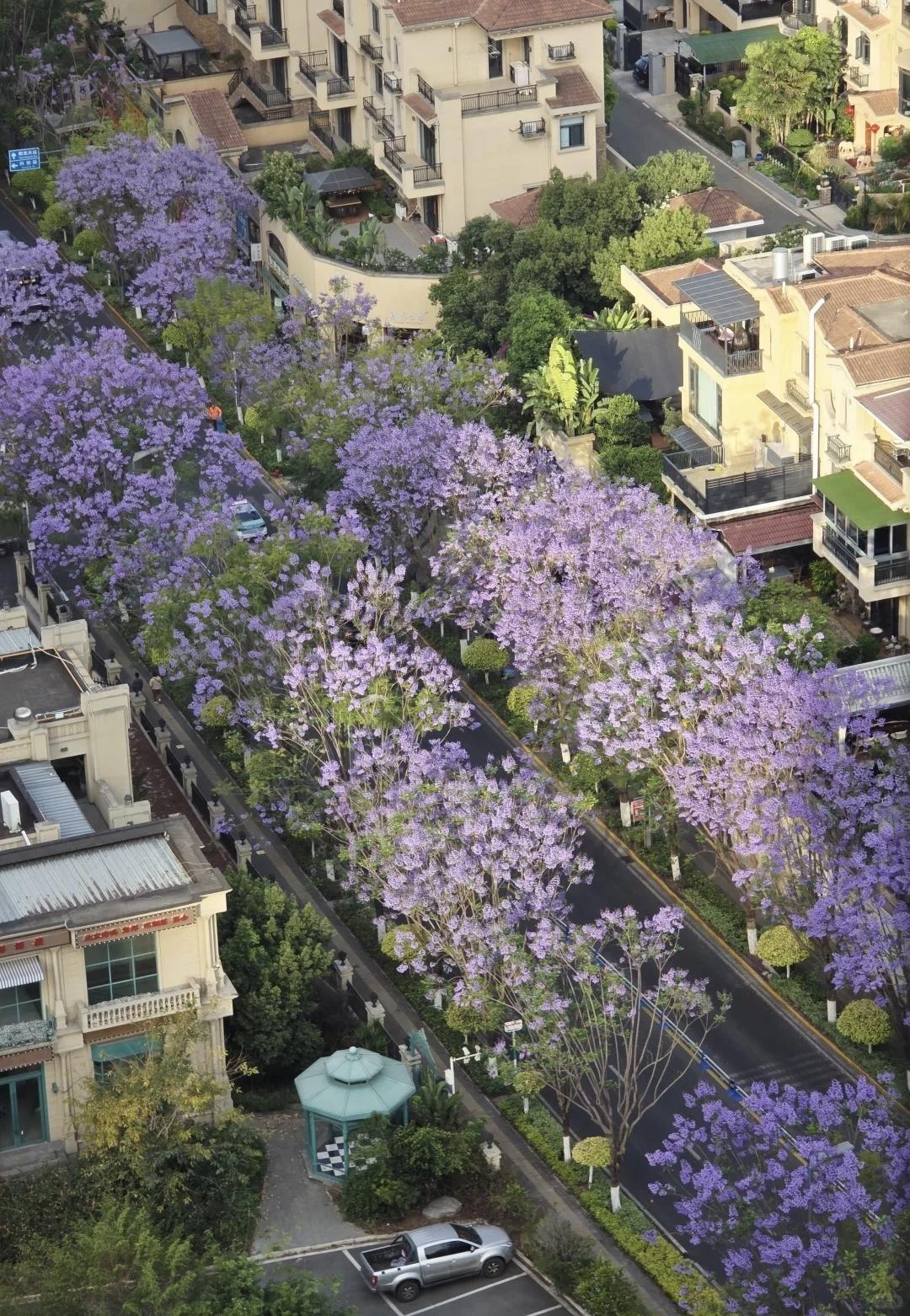 【人乐而益寿，人静而养心；人勤而添财，人动而健康】
        “人乐而益寿